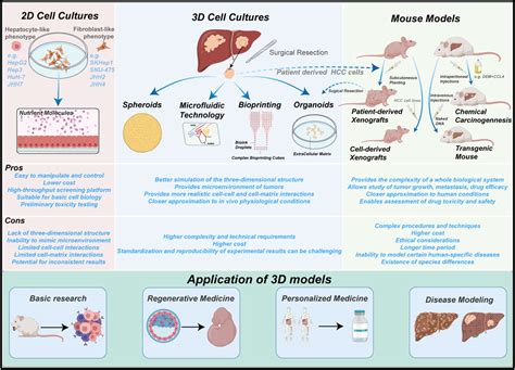 Frontiers Advancements And Application Prospects Of Three Dimensional