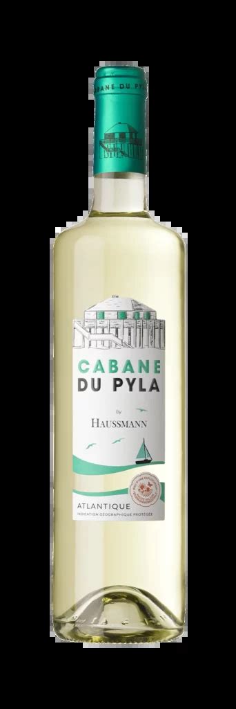 Cabane Du Pyla By Haussmann