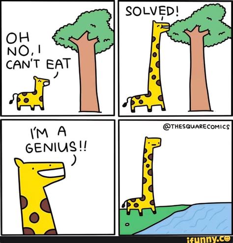 Flightless Bird My Ass This Mf Fly As Hell IFunny