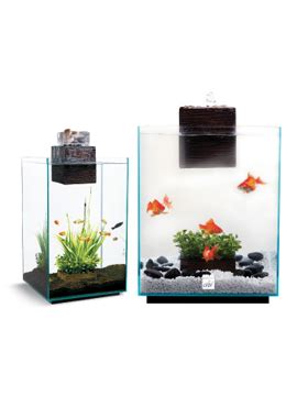 PEIXANÁRIO LOJA DE AQUARIOFILIA Aquario Fluval Chi 19L