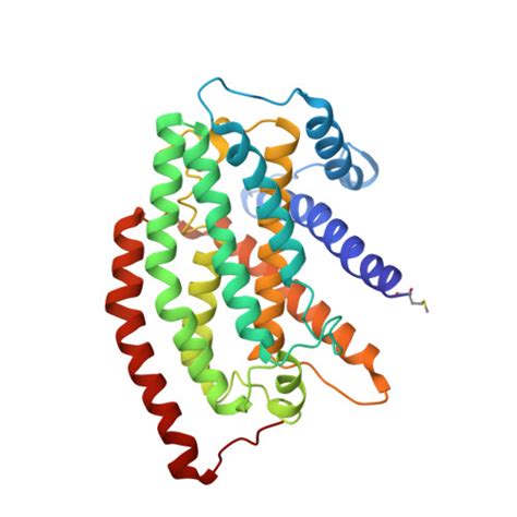 Rcsb Pdb Ca Cryo Em Structure Ndufs Knockout Complex I From Mus