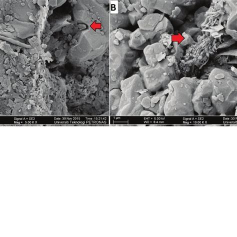 Fesem Image Of A Clean Subhedral Quartz Grain With Conchoidal Fractures Download Scientific