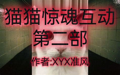 猫猫惊魂互动第二部【互动视频】xyx准风出品 哔哩哔哩