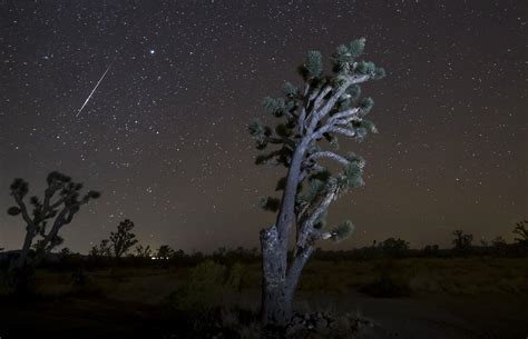 Leonid Meteor Shower to light up the night sky