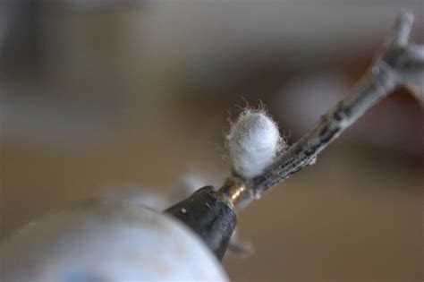 Beyond The Picket Fence Bestofdiy Spring Pussy Willows