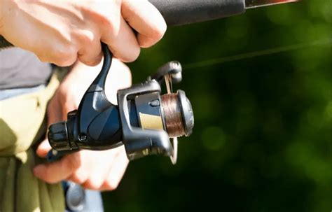 The Different Types Of Fishing Line Main Differences Explained