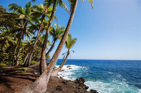 Anonib Hawaii: Avoid These Common Mistakes - pk1sksh