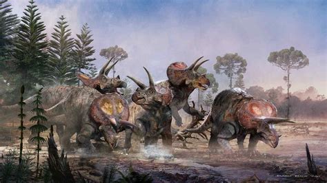 Biggest find of Triceratops fossils proves they were social dinosaurs