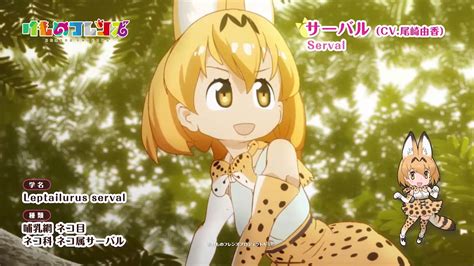 け もの フレンズ アニメ