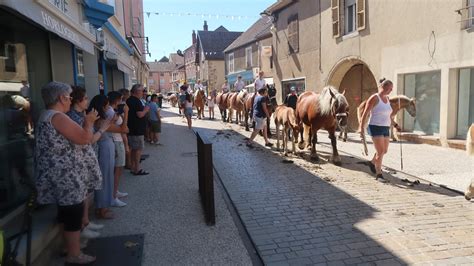 Haute Saône À Jussey une montée en puissance autour du cheval de