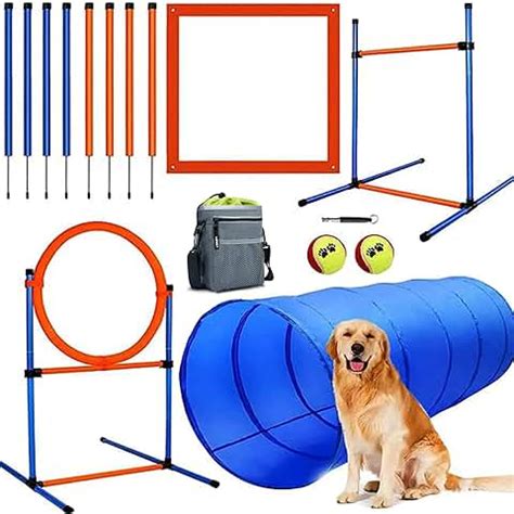 Amazon.com: Dog Agility Equipment - Dog Agility Equipment / Dog ...