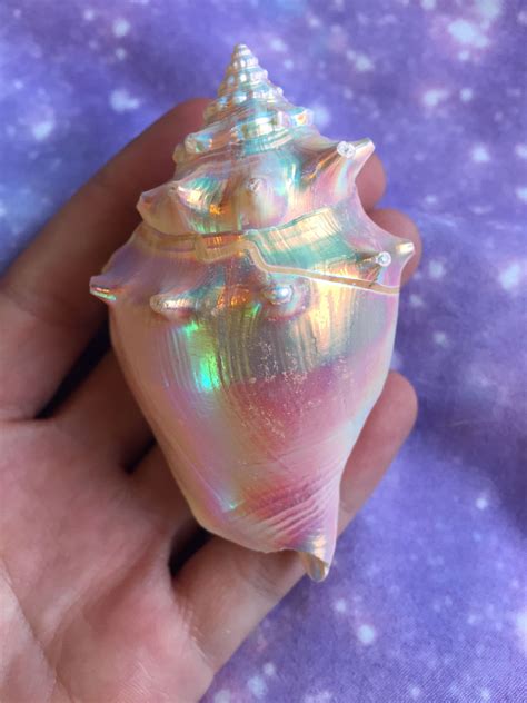 Beautiful Aura Conch Shell For The Everyday Mermaids Home Decor 3