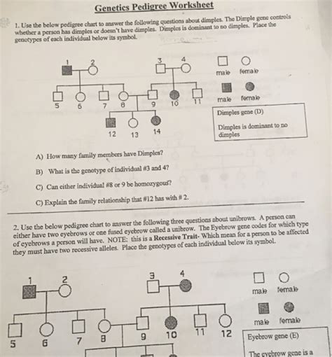 Genetics Pedigree Worksheet Answer Key Worksheets Decoomo