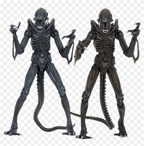 Aliens - Ultimate Alien Warrior Neca, HD Png Download - 876x848 ...