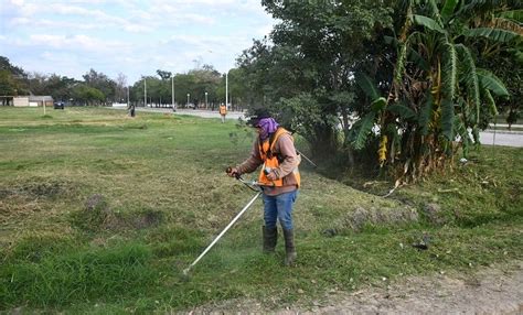 El Municipio Intensifica Las Tareas De Embellecimiento E Higiene De