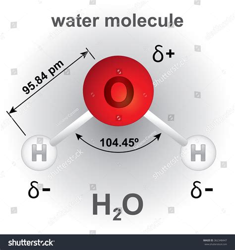 Illustration Representing Structure Composition Water Molecule Stock ...