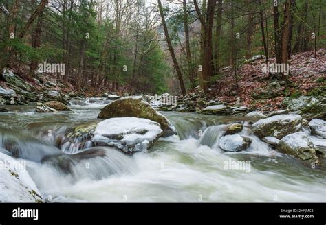 Turbulent Rapids Through A Rocky Gorge Fast Flowing Creek Downstream