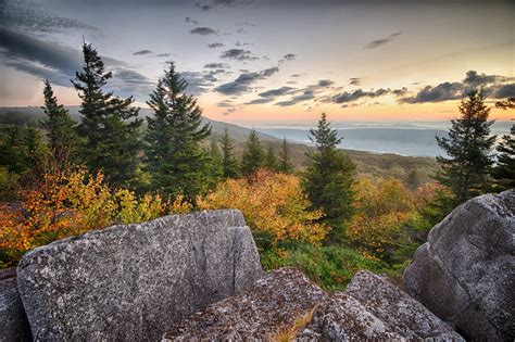 Dolly Sods Sunrise