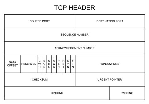 Tcp Aula Virtual