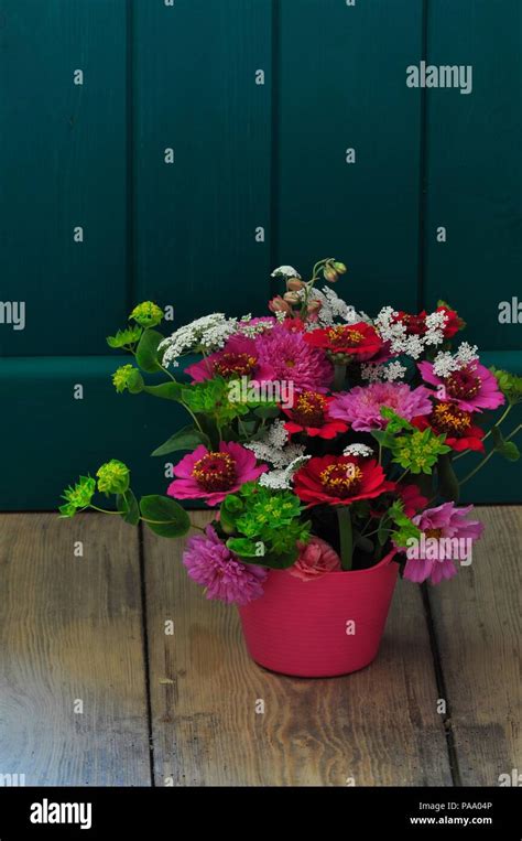 Cut flower arrangement Stock Photo - Alamy