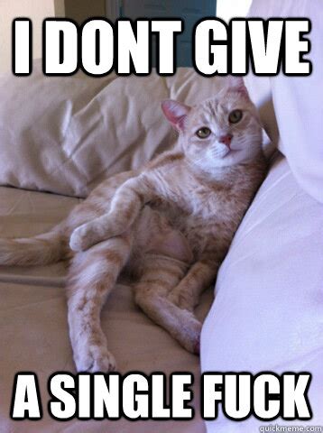 No Really Ask Me If I Give A Fuck Careless Cat Quickmeme