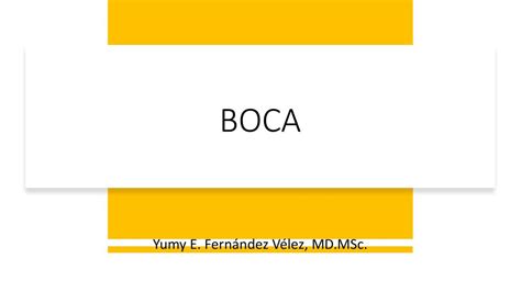 Boca Yumy E Fernández Vélez uDocz