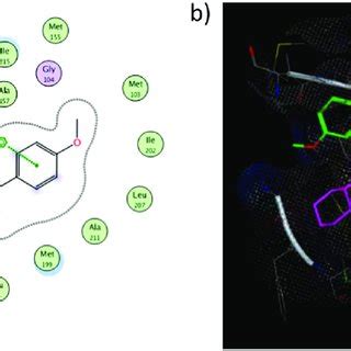 Docking Results For The Top Scored Compound 3d A Interaction Diagrams