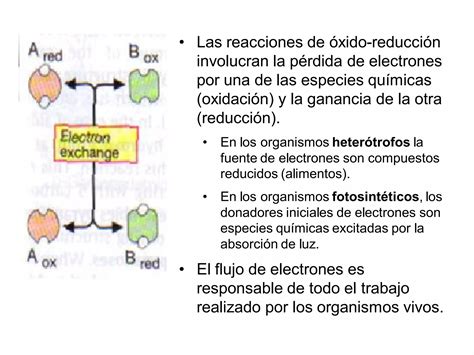 Que Es Un Agente Reductor 1