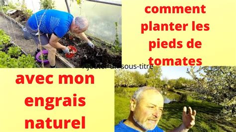 Comment Planter Vos Pieds De Tomates Youtube