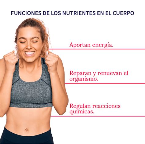 Tipos De Nutrientes Por Qu Y Cu Les Necesitas Aprende Institute