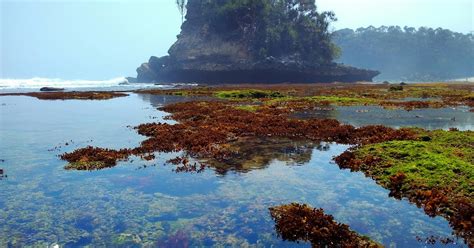 Pantai Jonggring Saloko Travel Jogja Malang