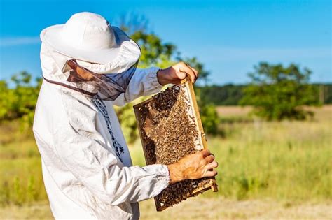 Apicultor trabalhando abelhas em seu apiário abelhas em favos de