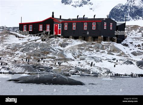 Bransfield House Port Lockroy British Antarctic Heritage Trust Station