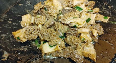 How To Cook Morel Mushrooms - MushroomStalkers