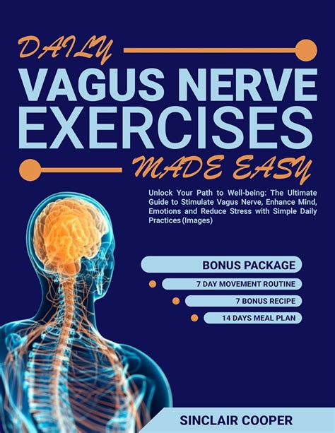 Daily Vagus Nerve Exercises Unlock Your Path To Well Being The