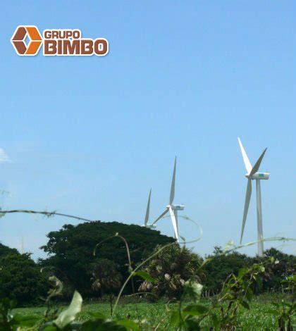 Grupo Bimbo reporta baja en ventas de EU y América Latina Forbes México