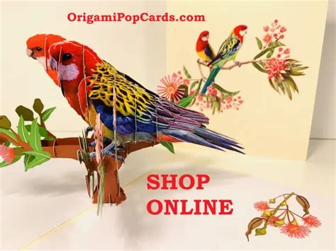 ORIGAMI POP CARDS Aussie Eastern Rosella Parrot Up Greeting Card Happy