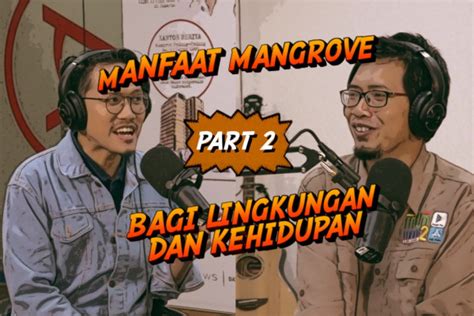 Manfaat Mangrove Bagi Lingkungan Dan Kehidupan Part Antara News