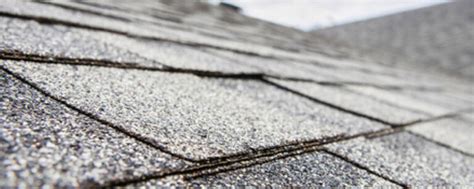 Should You Opt For A New Roof Or Shingle Overlay Pj Fitzpatrick