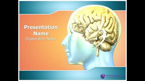 Human Brain Powerpoint Presentation Template Thetemplatewizard