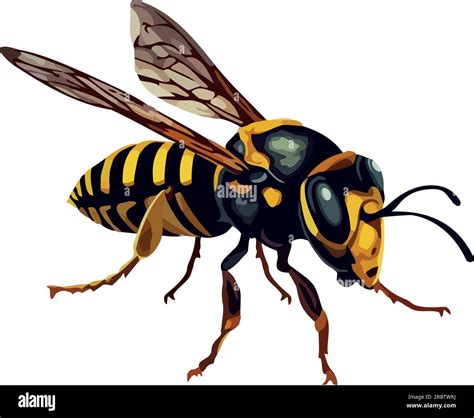 Busy bee pollinates Stock Vector Image & Art - Alamy