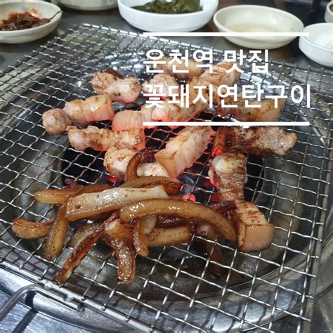 광주쌍촌동 맛집 꽃돼지연탄구이 운천역 맛집 제주도 삽겹살 네이버 블로그