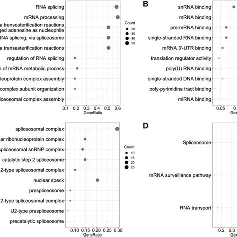 Gene Ontology And The Kyoto Encyclopedia Of Genes And Genomes Kegg Download Scientific