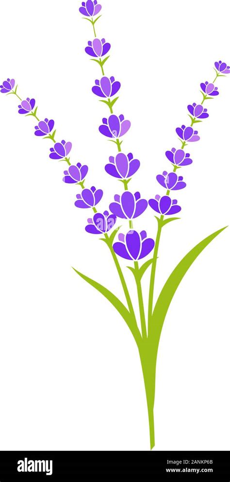 Lavender Flower Vector Icon Illustration Design Template Stock Vector