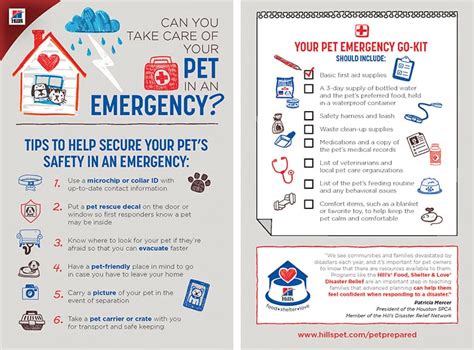 Today Is National Pet Preparedness Day