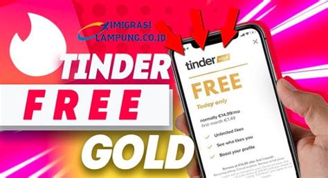 Download Tinder Gold Apk Free Platinum Latest Version 2023