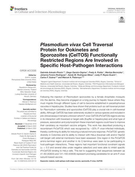 Pdf Plasmodium Vivax Cell Traversal Protein For Ookinetes And