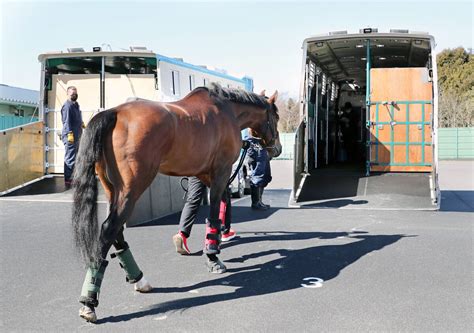 引退のエフフォーリアが美浦トレセンに別れ…横山武史騎手、涙抑えきれず「本当に感謝しきれない。そのひと言です」 スポーツ報知