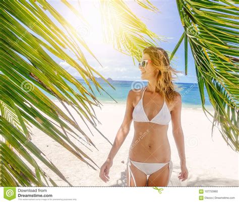 Mujer Hermosa En Bikini En La Playa Tropical Con Blanco De La Palmera