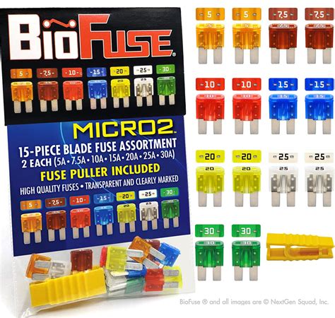 Amazon BioFuse Micro2 APT ATR 15 Piece Automotive Car Fuse